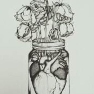 Meet your Posher, Warren